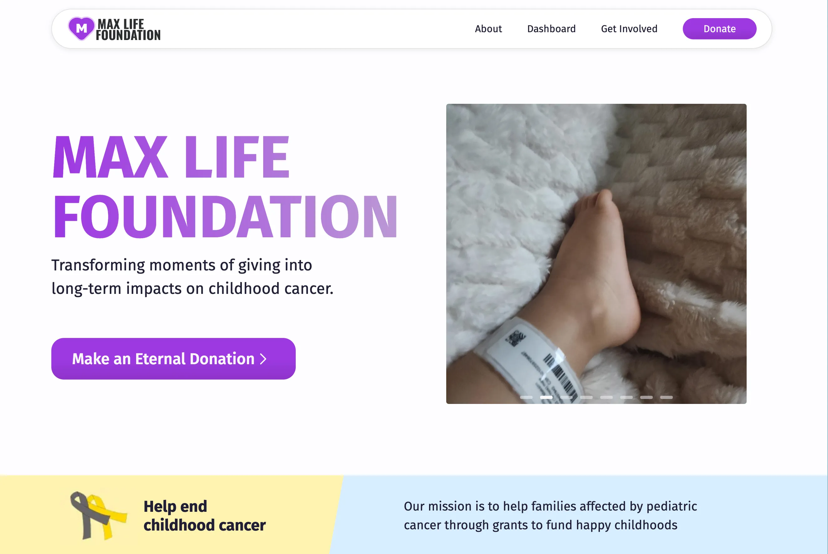 Screenshot of the Give Max Life website